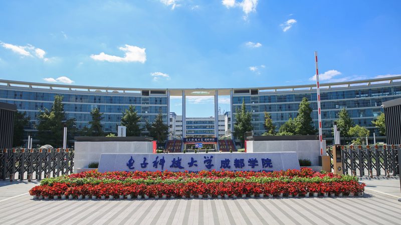 国产芯片批发报价平台：揭秘行业背后的秘密**