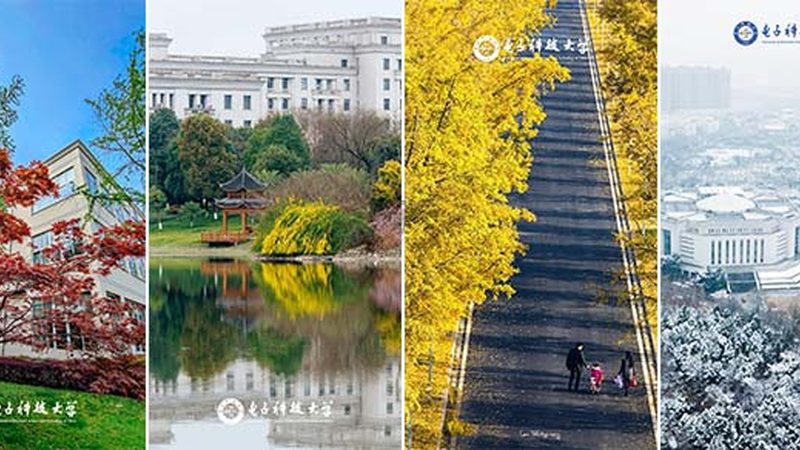 智能硬件代工定制：揭秘深圳优质服务商的选择标准