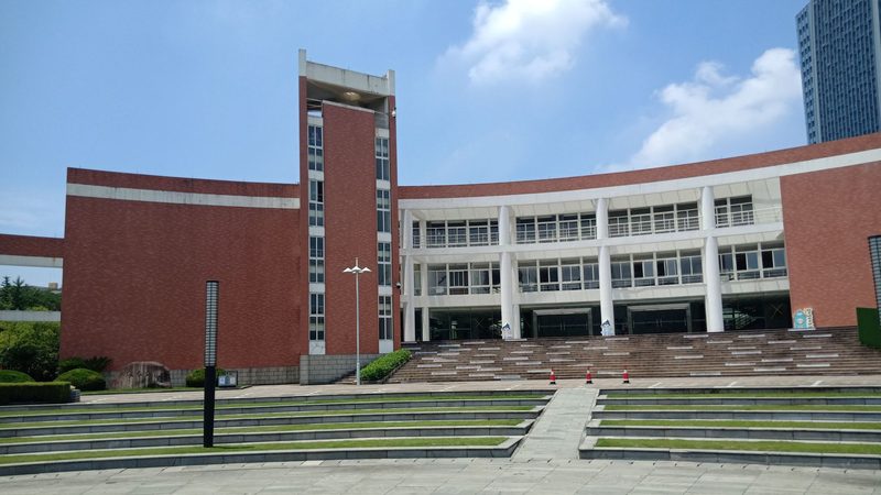 选择电子模块还是芯片