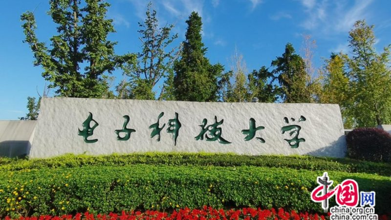 PCBA加工与SMT贴片：揭秘两者间的差异与联系