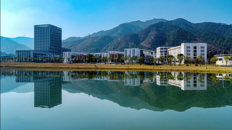 开关二极管与整流二极管：关键特性与应用差异